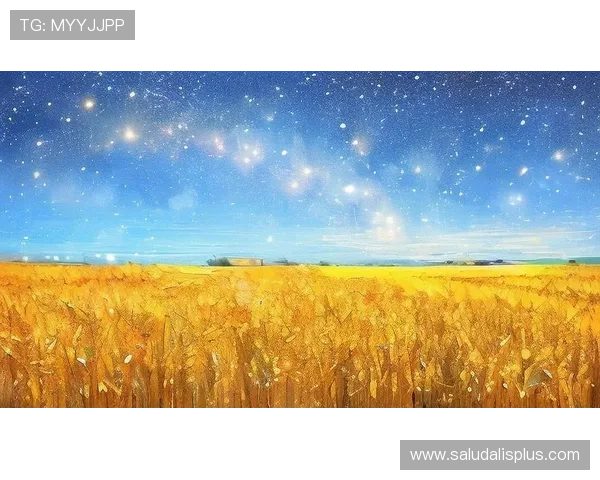 星空足球公园的梦幻体验,畅享运动与自然的完美结合 星空足球公园的梦幻体验,畅享运动与自然的完美结合