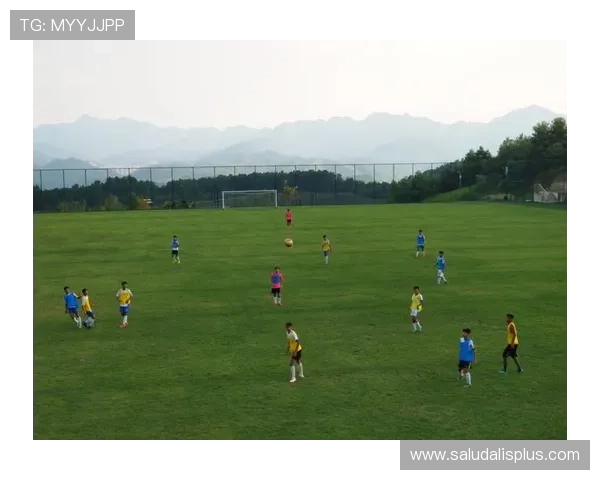 独特的星空足球场让每场比赛都充满浪漫与激情 独特的星空足球场让每场比赛都充满浪漫与激情