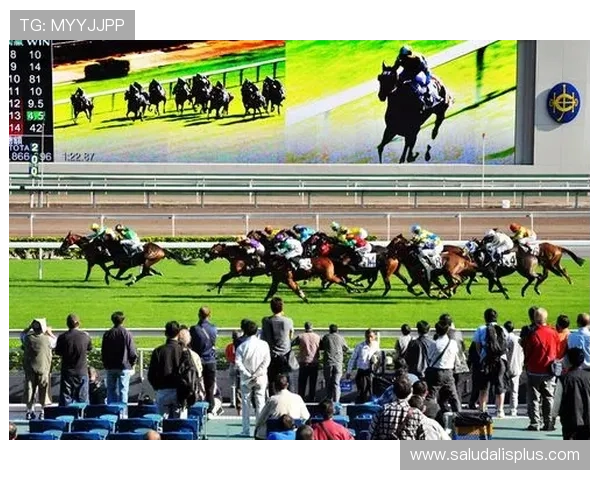 半岛体育官方下载常见问题解答,帮助用户顺利使用软件 半岛体育官方下载常见问题解答,帮助用户顺利使用软件